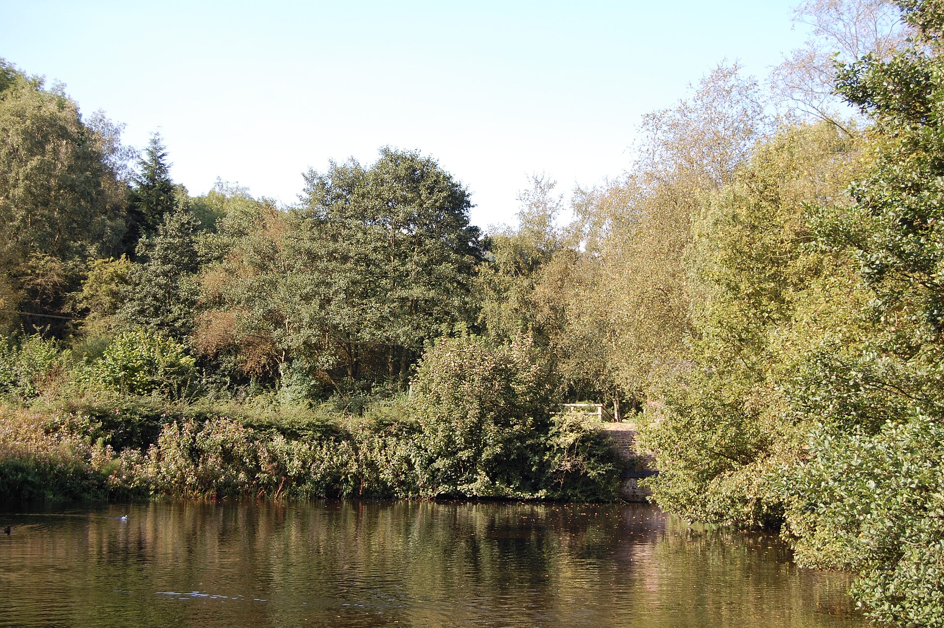 Woodland path in Etherow Country Park