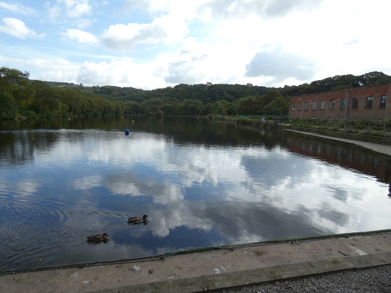 Compstall mill pond within Etherow Country Park