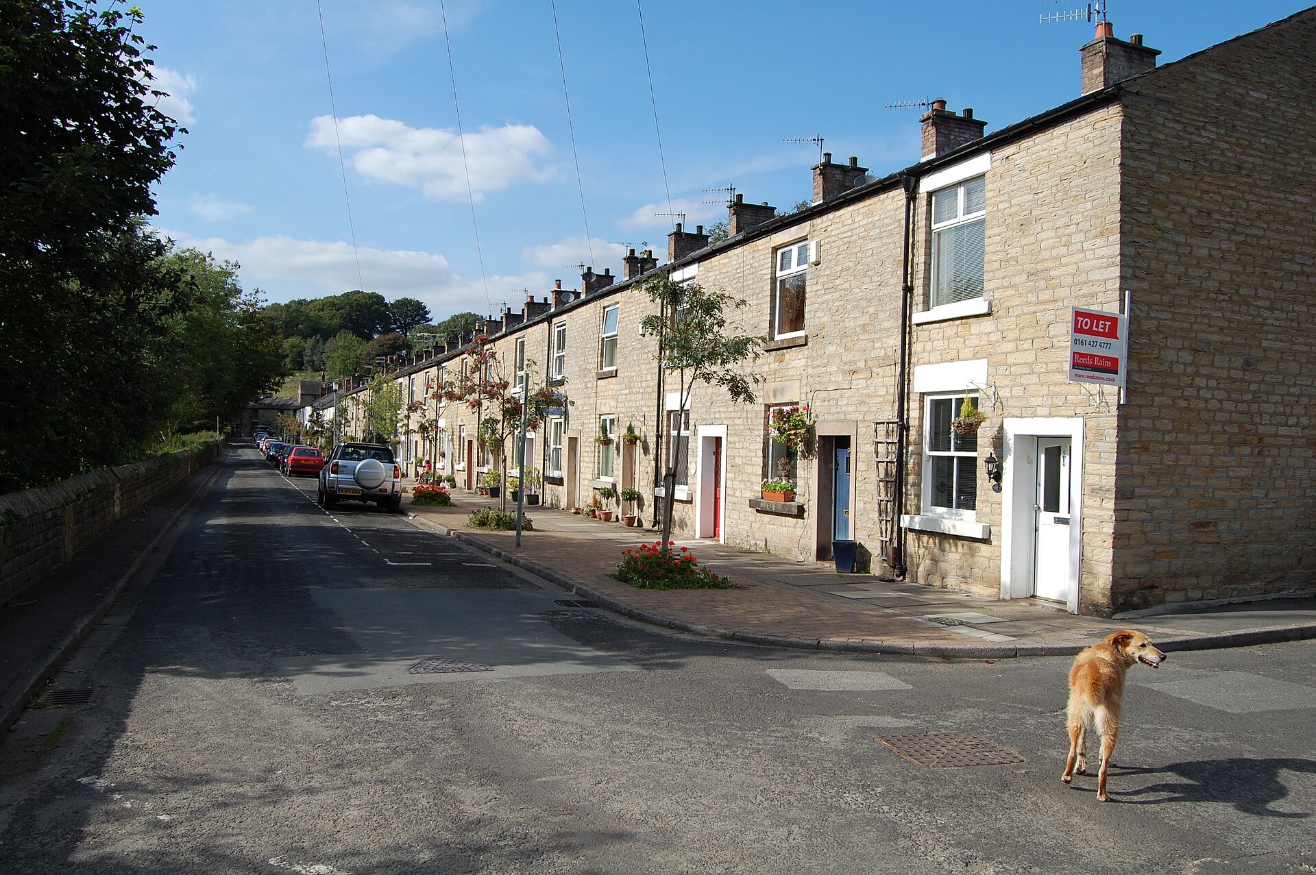 Terraced mill workers’ cottages on Montagu Street