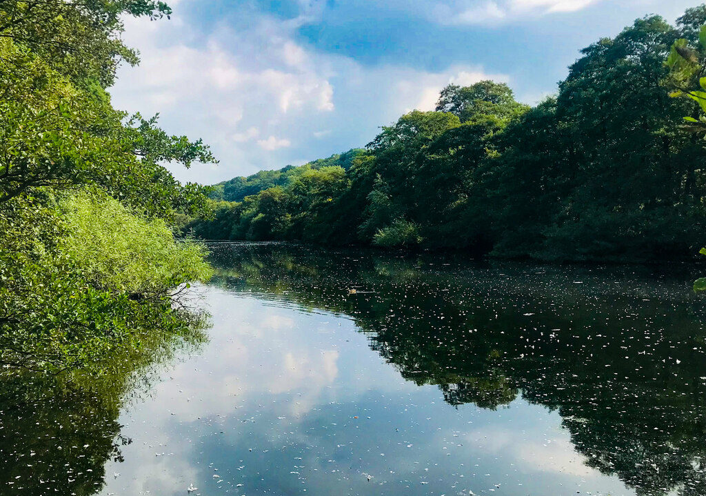 Nature reserve lake at Compstall